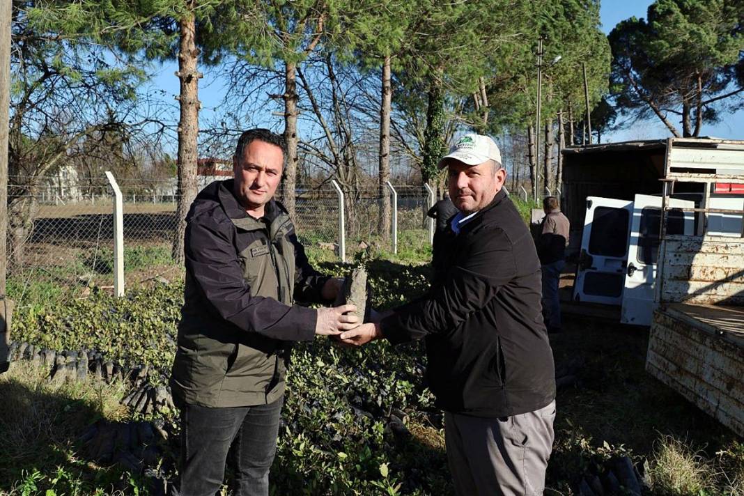 O köyün gelir kapısı: Pazarda kilosu 35 TL'den satılıyor! Hasat başladı, tezgahta bolluk yaşanıyor 10